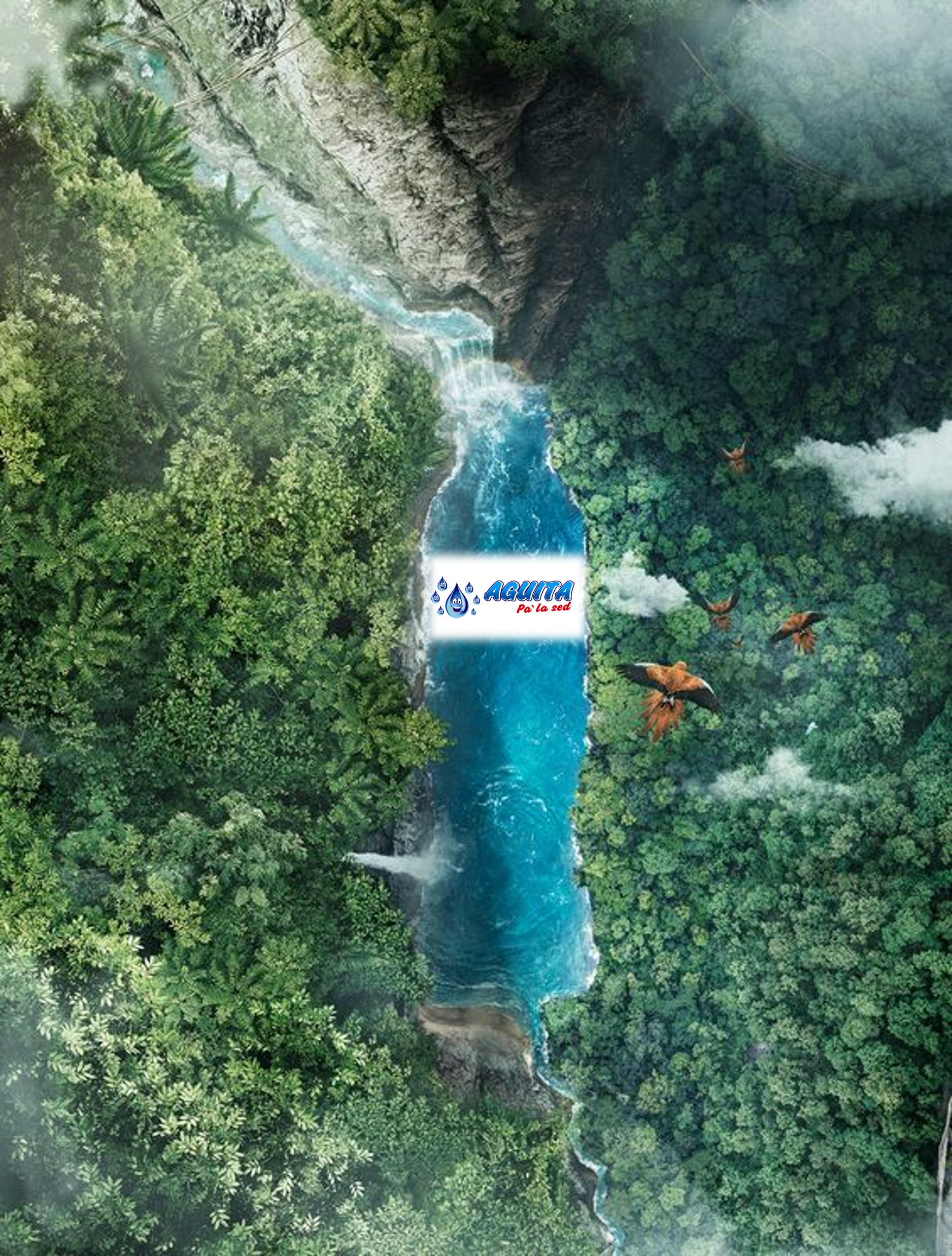 agua pura y segura, tratada con los más altos estándares de calidad.